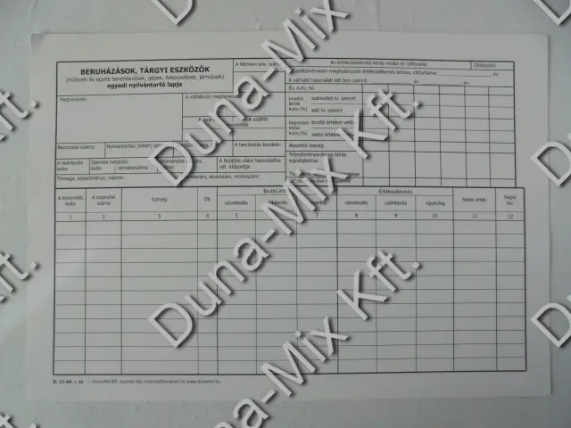 Beruházások, tárgyi eszközök nyilv.